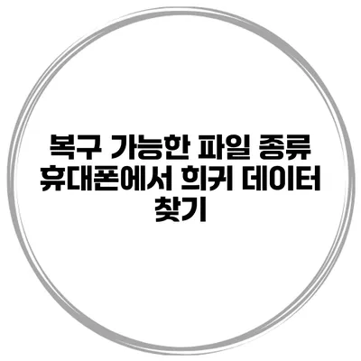복구 가능한 파일 종류 휴대폰에서 희귀 데이터 찾기