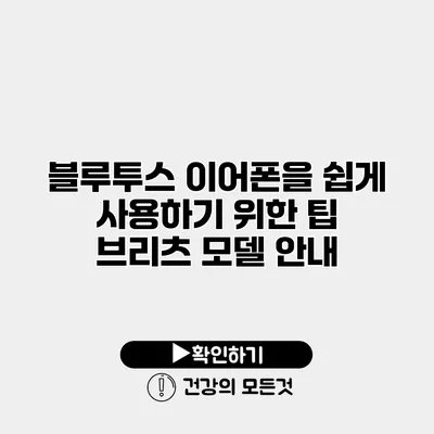 블루투스 이어폰을 쉽게 사용하기 위한 팁 브리츠 모델 안내