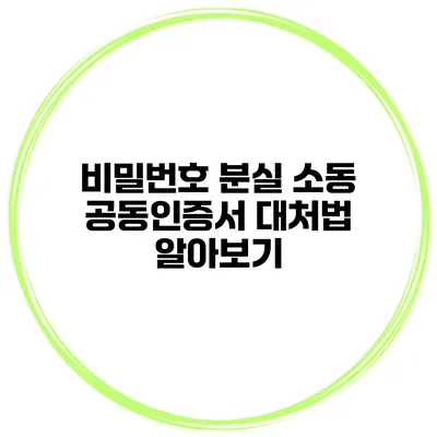 비밀번호 분실 소동 공동인증서 대처법 알아보기