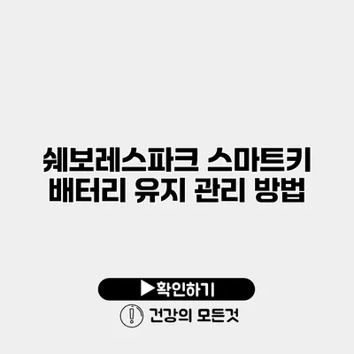 쉐보레스파크 스마트키 배터리 유지 관리 방법