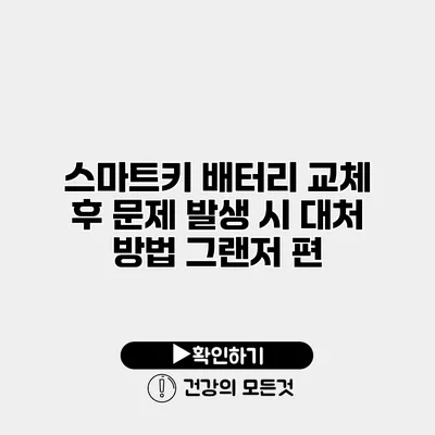 스마트키 배터리 교체 후 문제 발생 시 대처 방법 그랜저 편