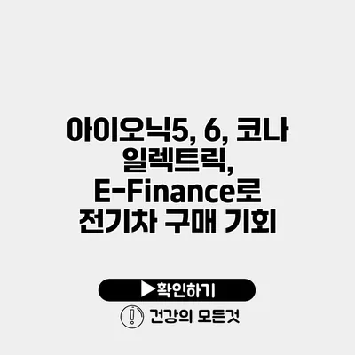 아이오닉5, 6, 코나 일렉트릭, E-Finance로 전기차 구매 기회