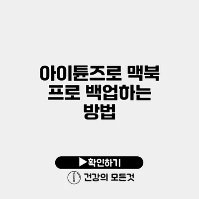 아이튠즈로 맥북 프로 백업하는 방법