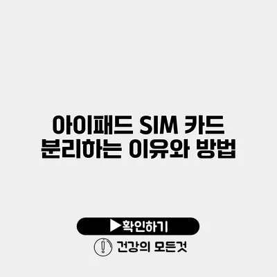 아이패드 SIM 카드 분리하는 이유와 방법