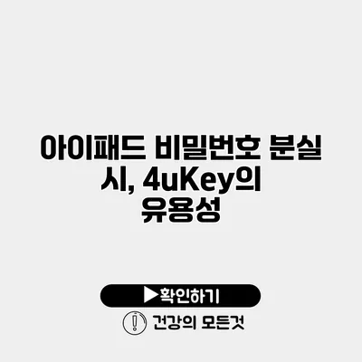 아이패드 비밀번호 분실 시, 4uKey의 유용성