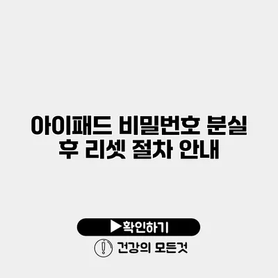 아이패드 비밀번호 분실 후 리셋 절차 안내