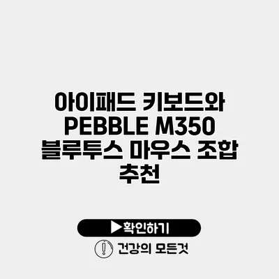 아이패드 키보드와 PEBBLE M350 블루투스 마우스 조합 추천
