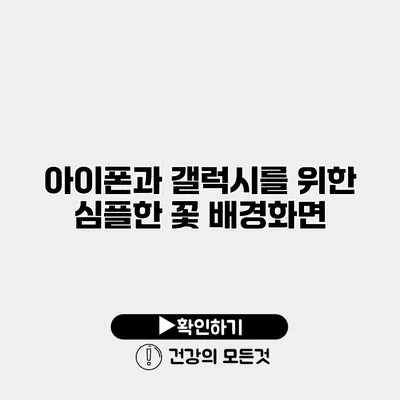 아이폰과 갤럭시를 위한 심플한 꽃 배경화면