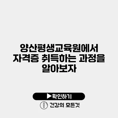 양산평생교육원에서 자격증 취득하는 과정을 알아보자