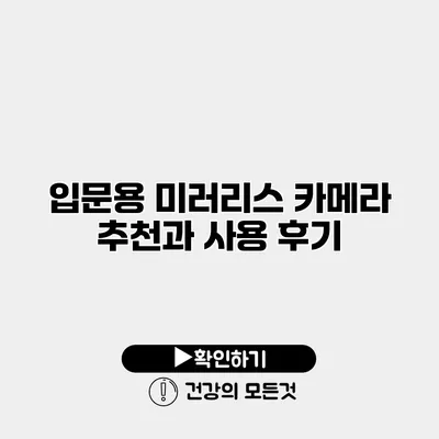 입문용 미러리스 카메라 추천과 사용 후기