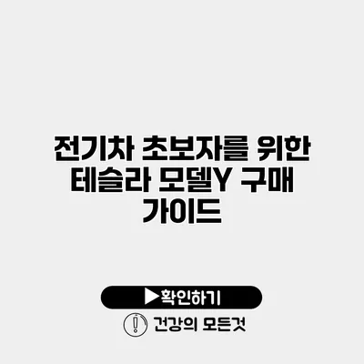 전기차 초보자를 위한 테슬라 모델Y 구매 가이드