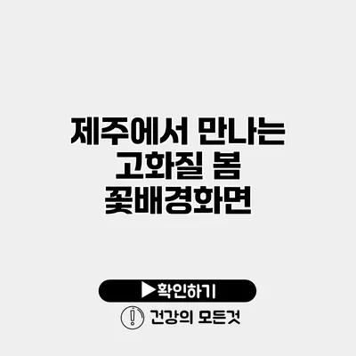 제주에서 만나는 고화질 봄 꽃배경화면