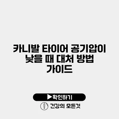 카니발 타이어 공기압이 낮을 때 대처 방법 가이드
