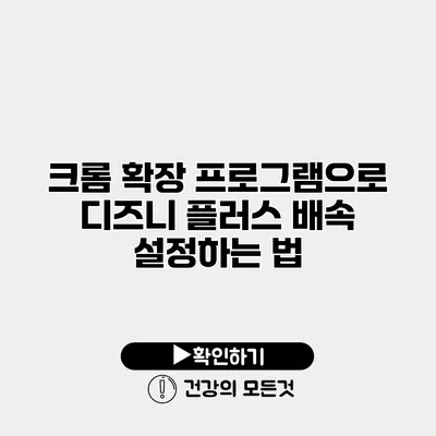 크롬 확장 프로그램으로 디즈니 플러스 배속 설정하는 법