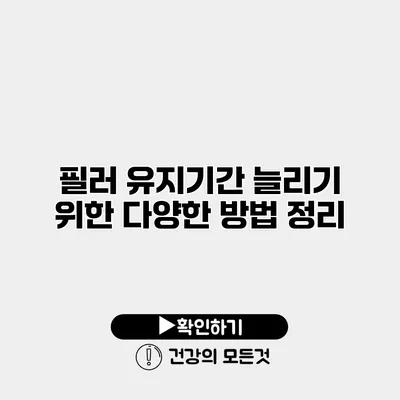 필러 유지기간 늘리기 위한 다양한 방법 정리