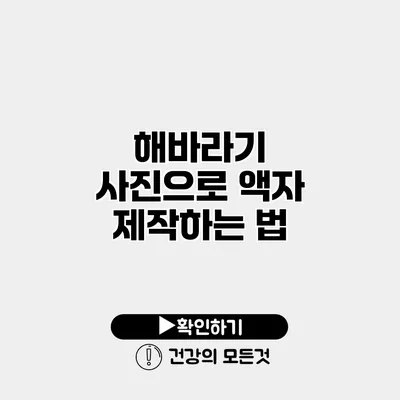 해바라기 사진으로 액자 제작하는 법