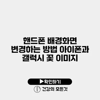 핸드폰 배경화면 변경하는 방법 아이폰과 갤럭시 꽃 이미지
