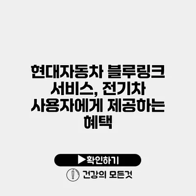 현대자동차 블루링크 서비스, 전기차 사용자에게 제공하는 혜택
